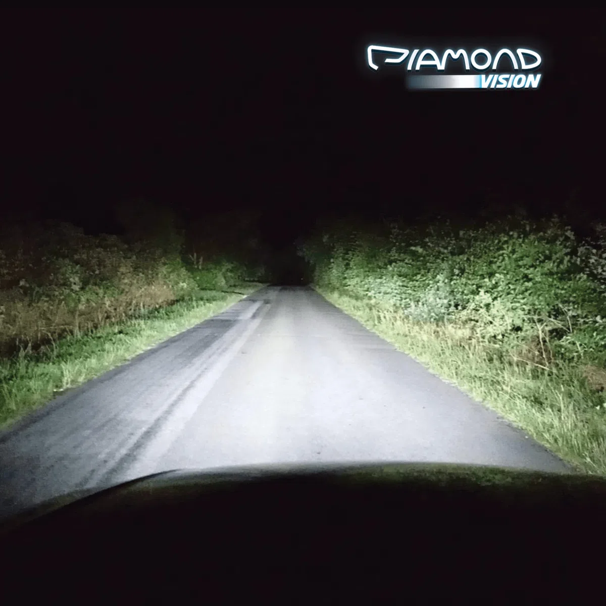 Diamond Vision 2x H3 12V 55W | Xenon Look | Halogen KFZ Autolampen | Kaltweiß | zweimal so langlebig | E-Prüfzeichen | PK22S (Packung mit 2)