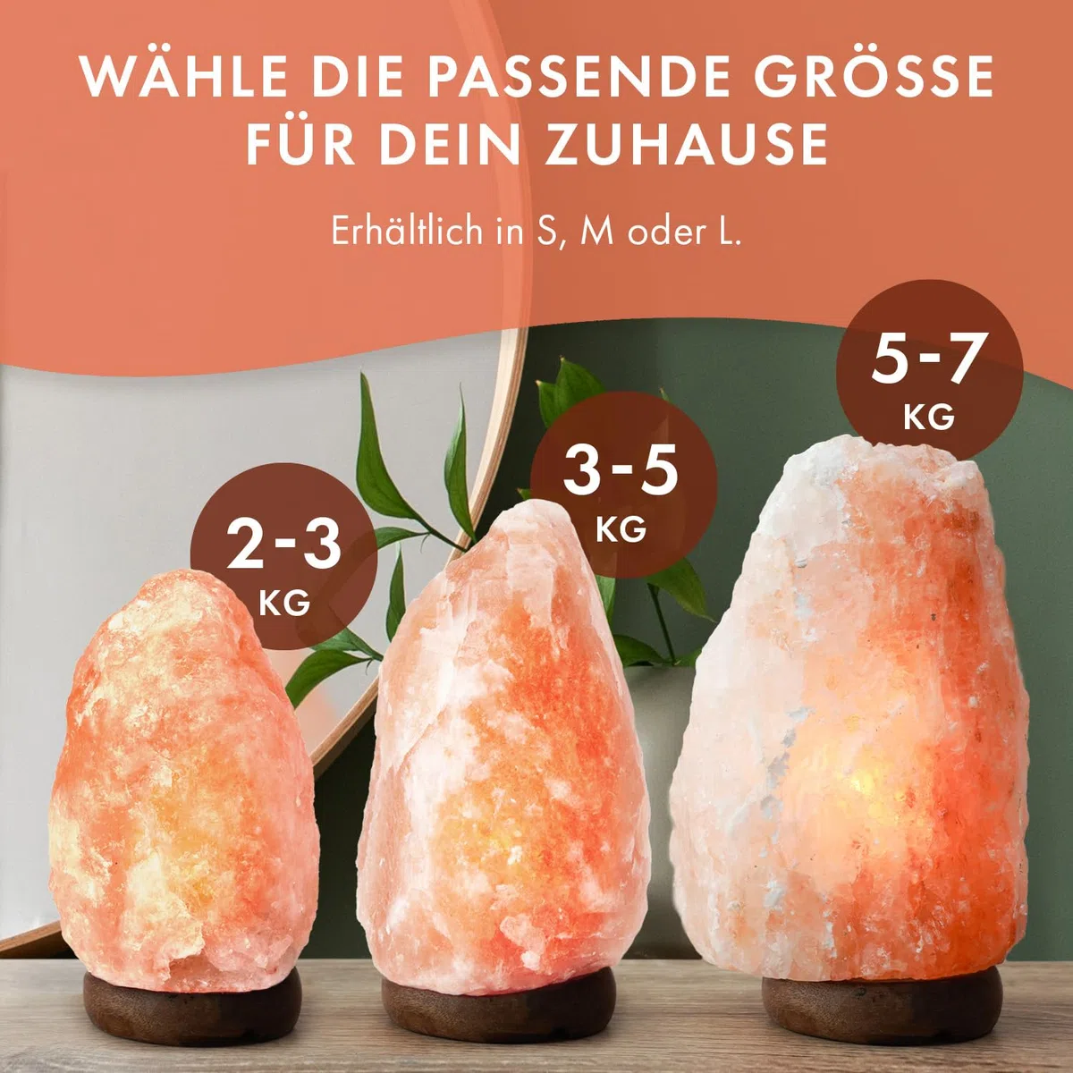 The Body Source Salzlampe (2-3 kg) mit Dimmerschalterlicht aus der Salt Range Pakistan auf einem Holzständer - Nachtlicht inkl. 1x 10W Glühbirnen und Geschenkbox